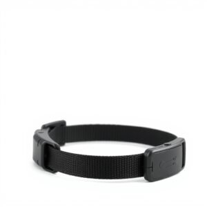 Anti-Bark Training Collar